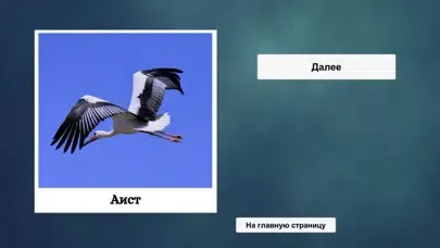 ภาพหน้าจอของ Загадки о животных