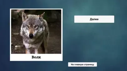 ภาพหน้าจอของ Загадки о животных