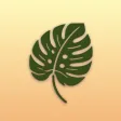 Plant Diagnosis & Help