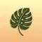 Plant Diagnosis & Help
