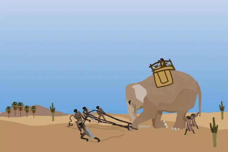 تصاویر Year of the Elephant