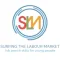 Surf the Labour Market