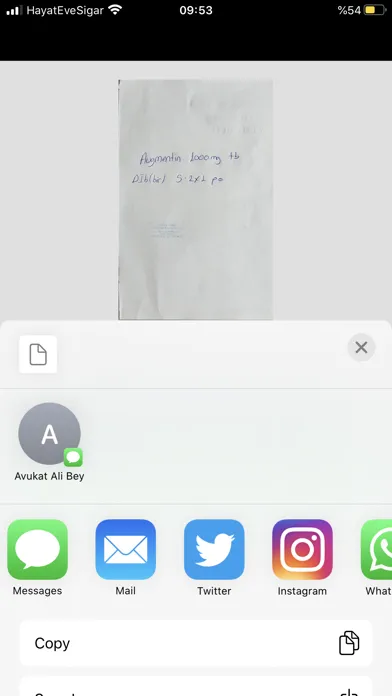 NetBelgem应用截图
