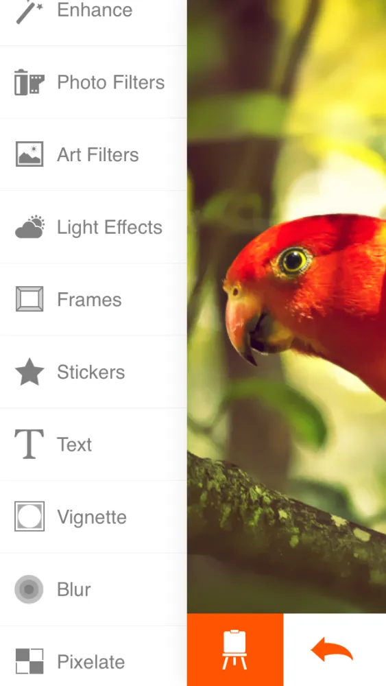 Tangkapan skrin Phoenix Photo Editor