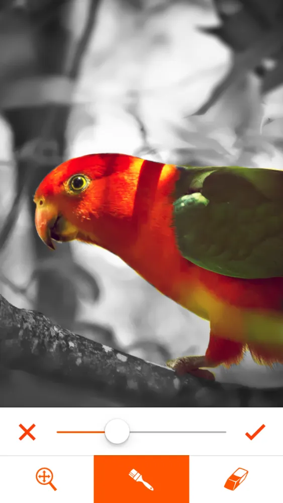 Tangkapan skrin Phoenix Photo Editor