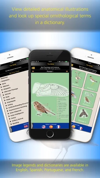 The Birds of Argentina Screenshots