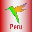 The Birds of Peru