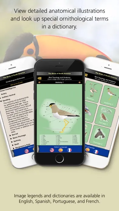 Tangkapan layar Birds of South America