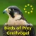 Birds of Prey and Owls