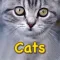 EuroCats