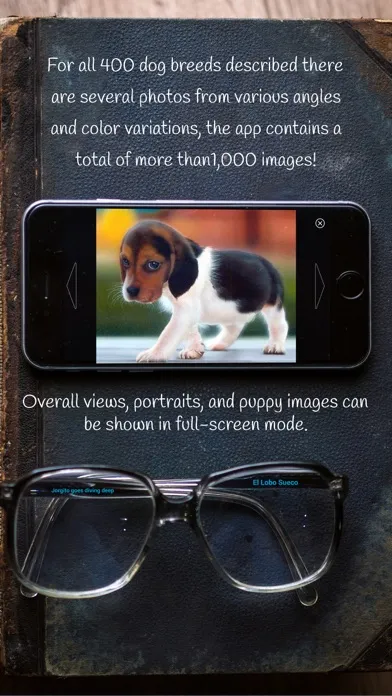 تصاویر Dog Breeds of the World