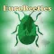 EuroBeetles