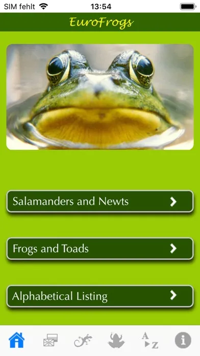 صور EuroFrogs