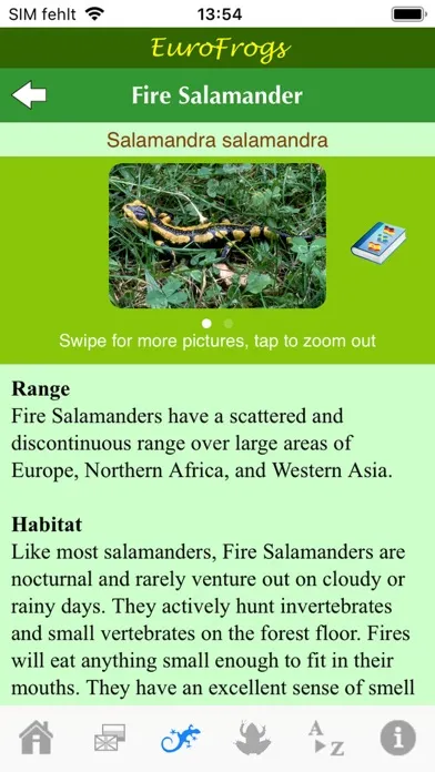 صور EuroFrogs