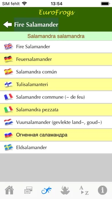 صور EuroFrogs