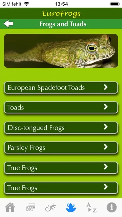 صور EuroFrogs