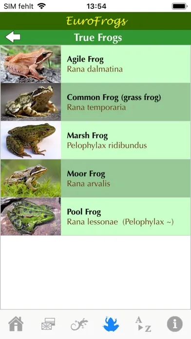 صور EuroFrogs