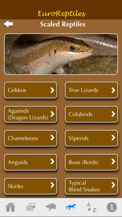 EuroReptiles Ekran Görüntüleri