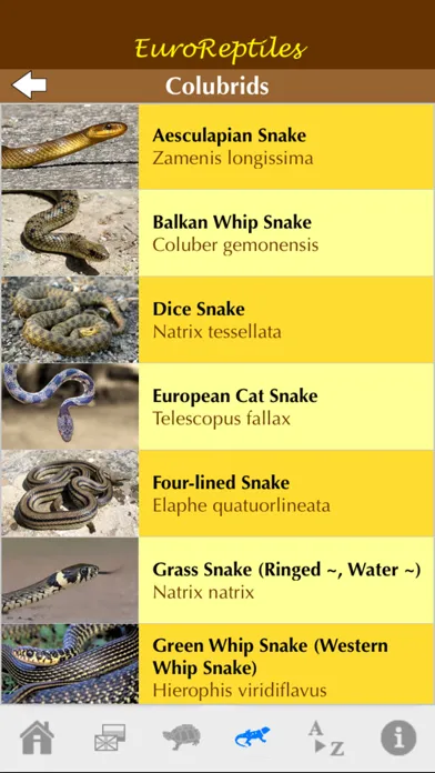 EuroReptiles Ekran Görüntüleri