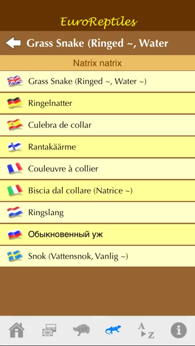EuroReptiles Ekran Görüntüleri