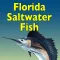 Florida Saltwater Fish