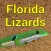 Florida Lizards
