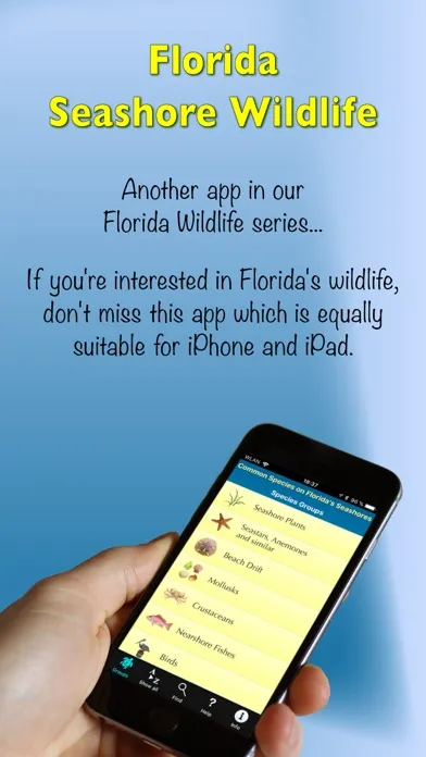 Capturas de tela do Florida Seashore Wildlife