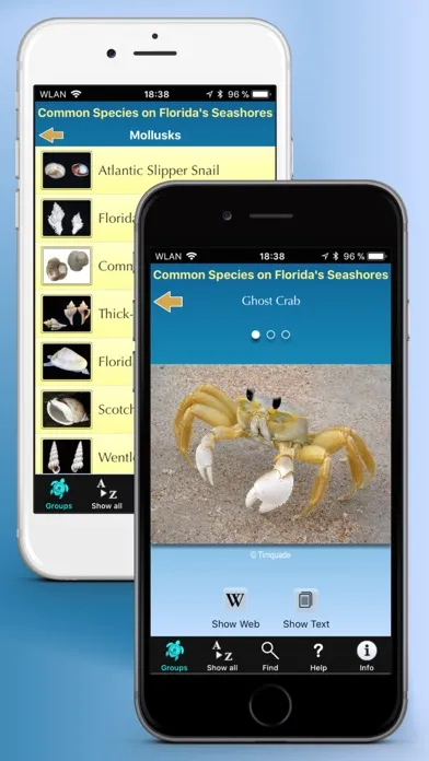 Capturas de tela do Florida Seashore Wildlife