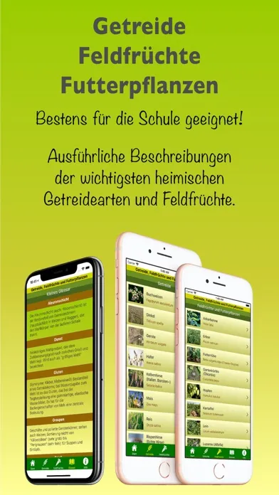 Getreide & Feldfrüchte & Quiz スクリーンショット