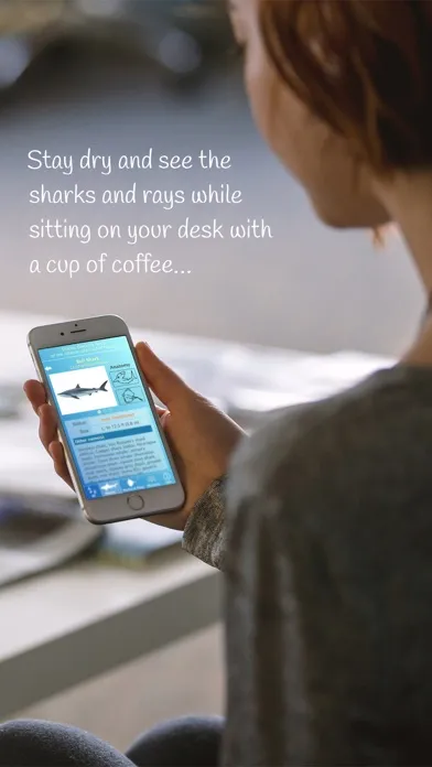 Sharks and Rays應用截圖