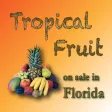 Tropical Fruit available in Florida Tropical Fruit available in Florida