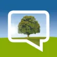 WDYTYA Forum
