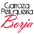 Carroza Peluquería Borja