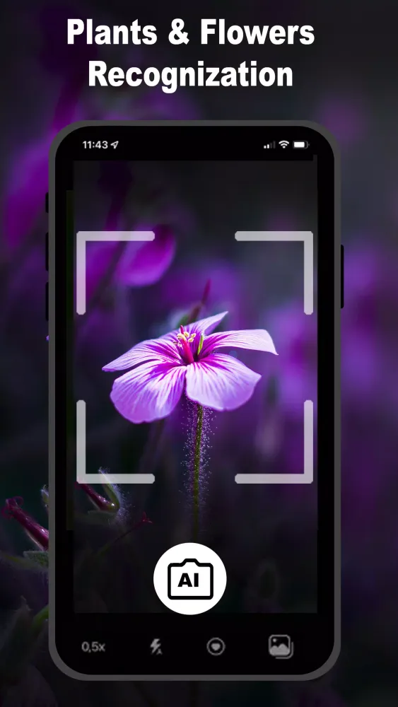 Everyscan: Identify Everything Screenshots