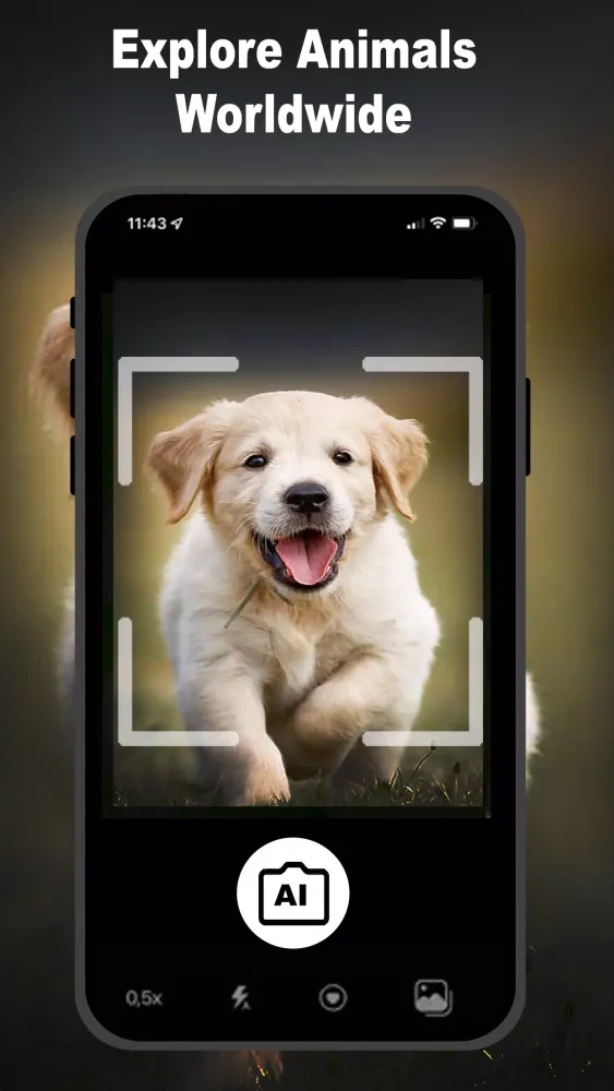 Everyscan: Identify Everything Screenshots