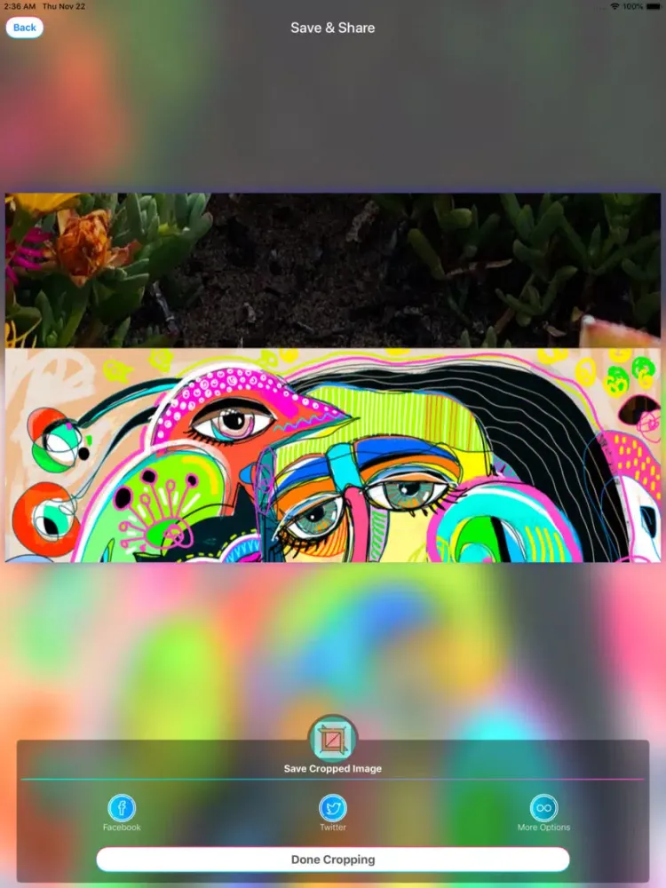 Скриншоты Image Crop Cover Photo resizer iPad 