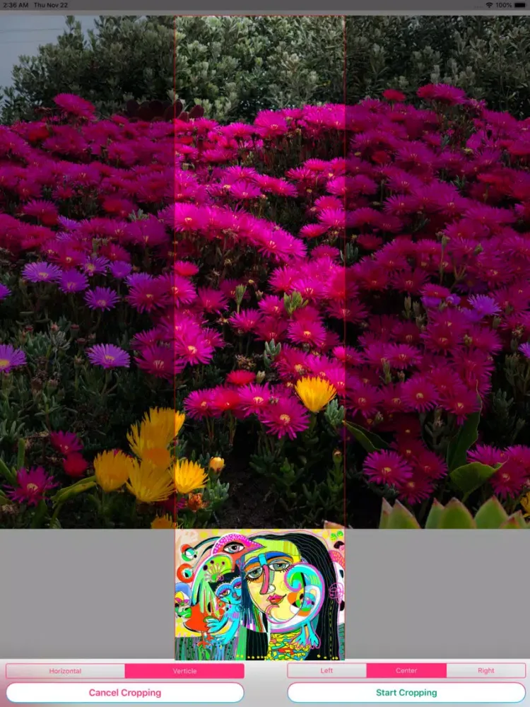 Скриншоты Image Crop Cover Photo resizer iPad 