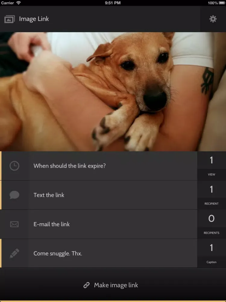 ภาพหน้าจอของ Image Link iPad 