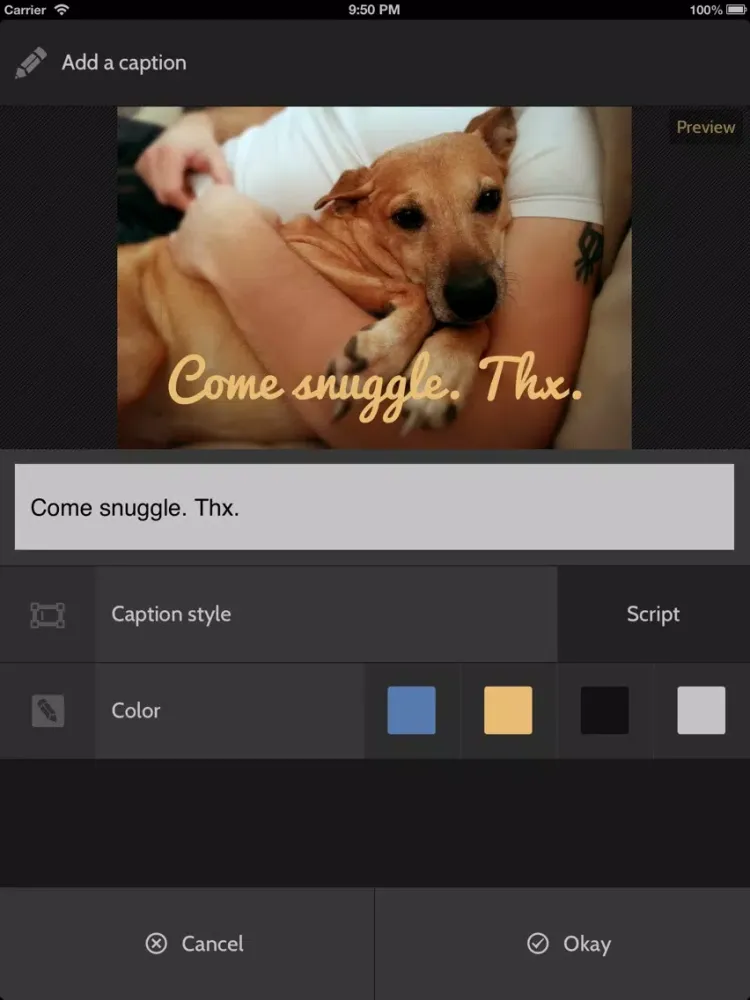 ภาพหน้าจอของ Image Link iPad 