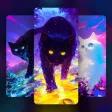 Imaginary Cat Wallpapers Imaginary Cat Wallpapers