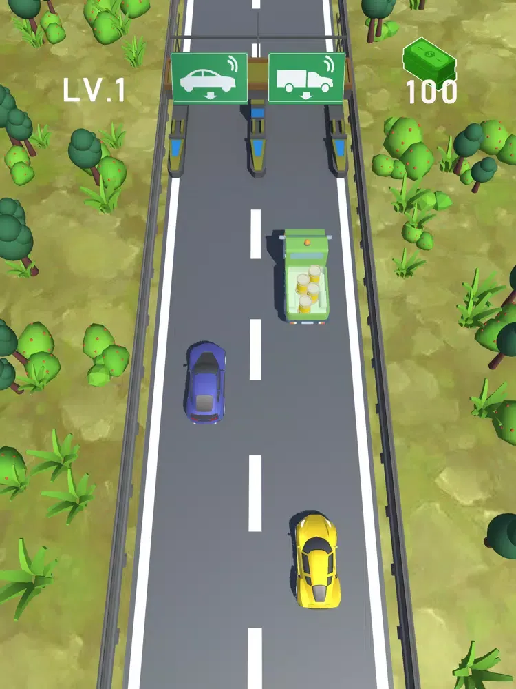 Zrzuty ekranu Toll Road iPad 