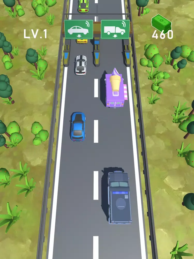 Zrzuty ekranu Toll Road iPad 