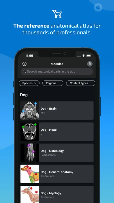 vet-Anatomy Screenshots