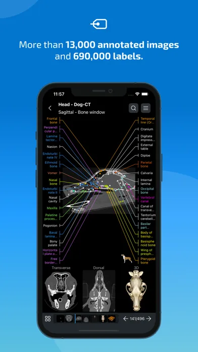 vet-Anatomy Screenshots