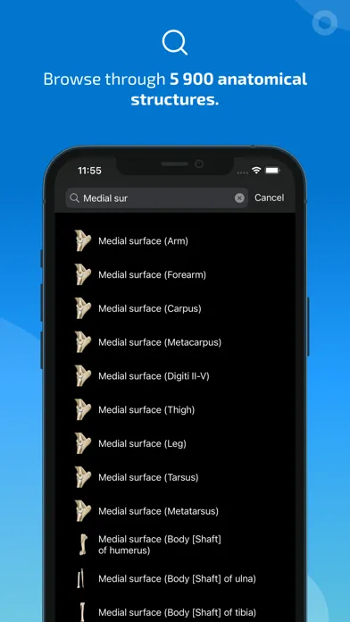 vet-Anatomy Screenshots
