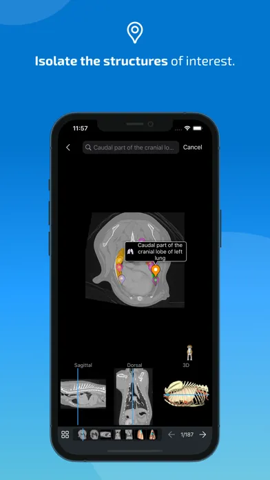 vet-Anatomy Screenshots