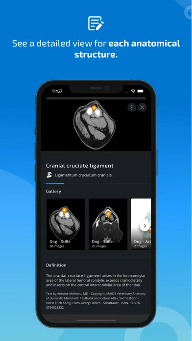 vet-Anatomy Screenshots