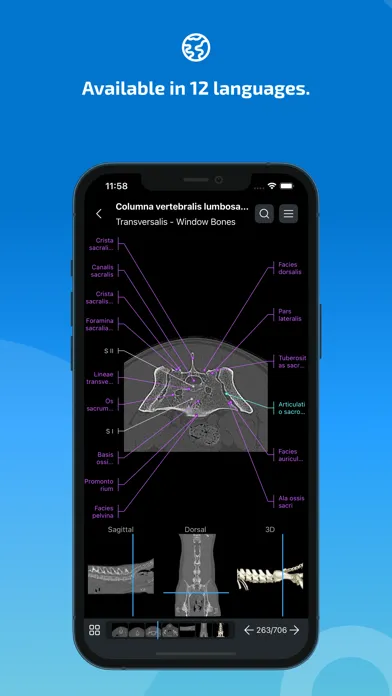 vet-Anatomy Screenshots
