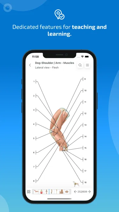 vet-Anatomy Screenshots