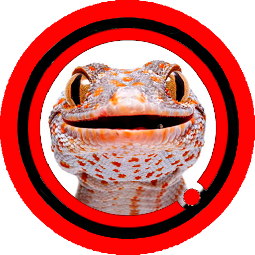 Suara Tokek Mp3 Suara Tokek Mp3
